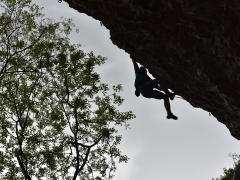 Vladimir Bacigal - Voľný ako vták
