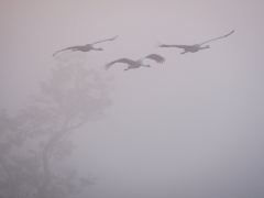 Martin Farkaš - Nepoznané hranice