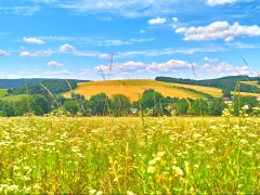 Juraj Kravárik - Slobodný pohľad fotografa, ktorý nemá pravidlá