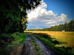 Bogusław Dziedziak - Príroda