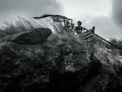 Eva Habankova - Slobodní ako vtáci