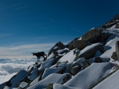 Andrej Hošna - Sloboda duše