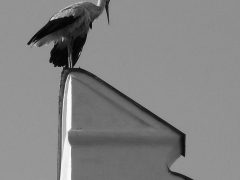 Ľudmila	Miklošová - Na hrane