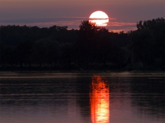 Milan Pagáč - Celý deň slobodný
