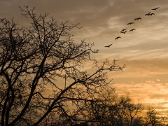 Milan Pagáč - Slobodne na raňajky