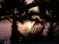 Pavol Sadák - Sloboda nadosah