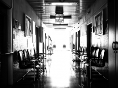 Marek Szucs - Sloboda má mnoho podôb, napríklad...