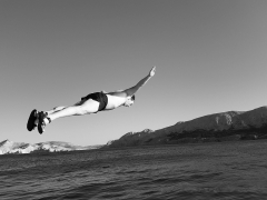 Vladimir Viest - Skok