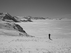 Vladimir Viest - Sloboda - sila hor